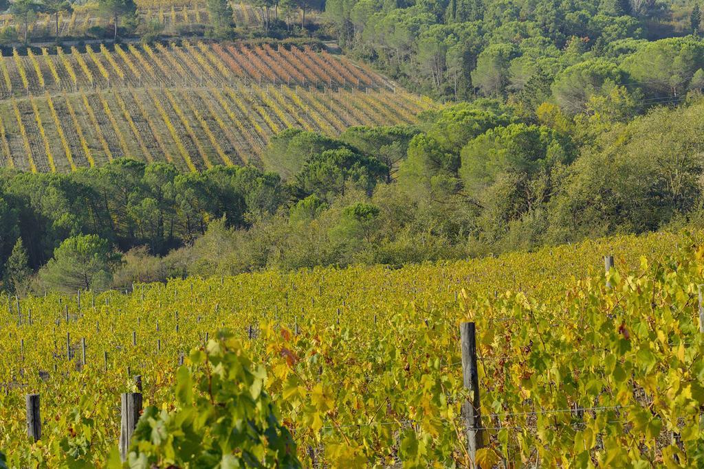 Agriturismo La Presura Strada in Chianti ภายนอก รูปภาพ